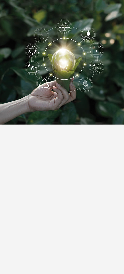 Sustainability graphic with natural leaves